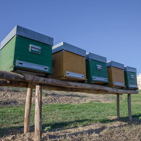 몬타피아 Cascina Rueral 빌라 외부 사진
